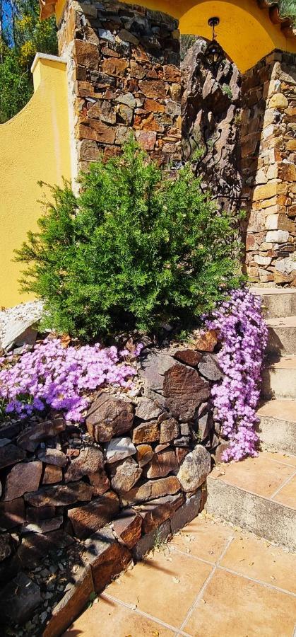 Quinta Do Cabril Apartment Serpins Bagian luar foto